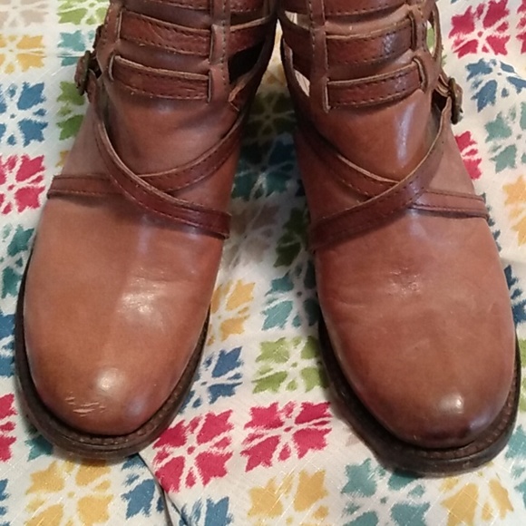 Freebird - Picture 5 of 5